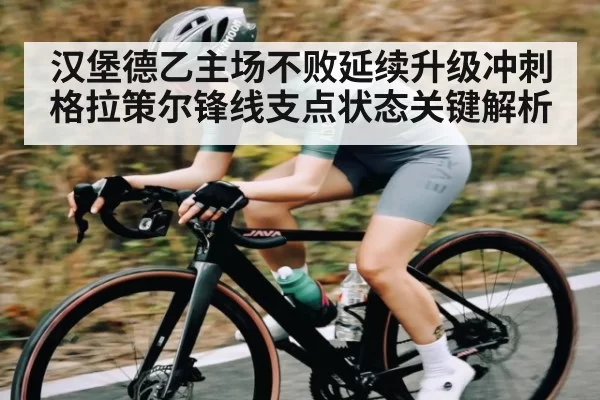 汉堡德乙主场不败延续升级冲刺 格拉策尔锋线支点状态关键解析 - ng28